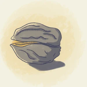 Autisme in een notedop